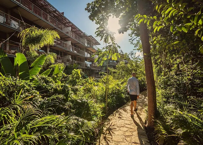 Incredible 1br Swim Up With Private Cenote And Big Gym Apartment